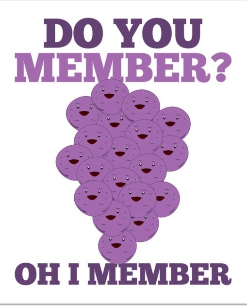 Purple Member Berries illustration